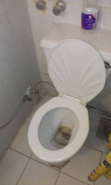 Отель El  Tabia